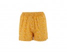 Shorts fantasia