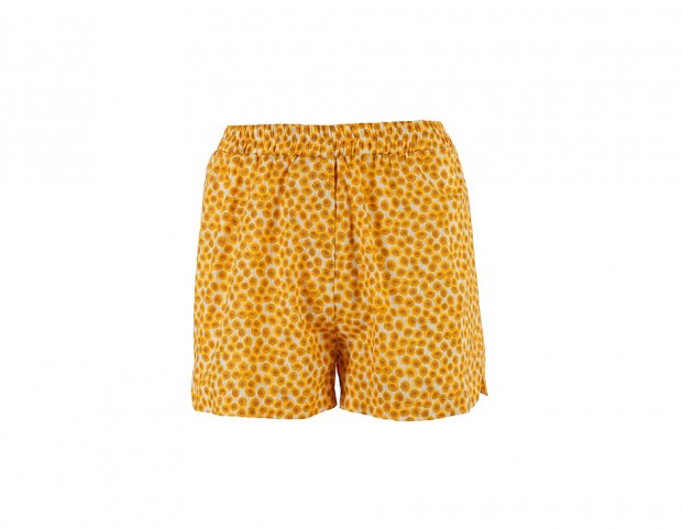 Shorts fantasia