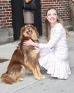 Amanda Seyfried e Finn