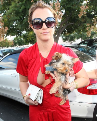 Britney e uno dei suoi cuccioli