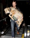 Ryan e George