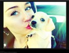 Miley e uno dei suoi amichetti