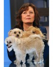 Susan Sarandon