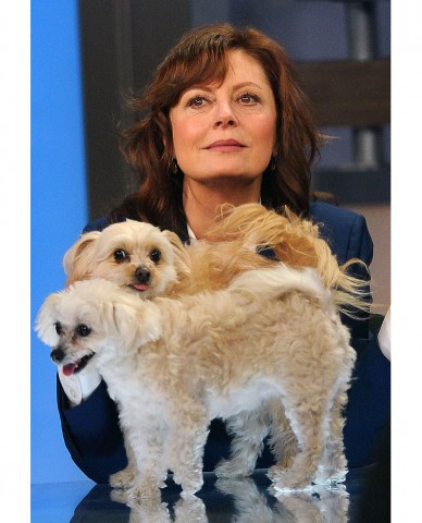 Susan Sarandon