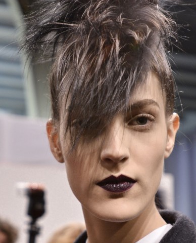 Una zebra punk