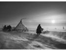 Penisola di Yamal, Siberia, 2011