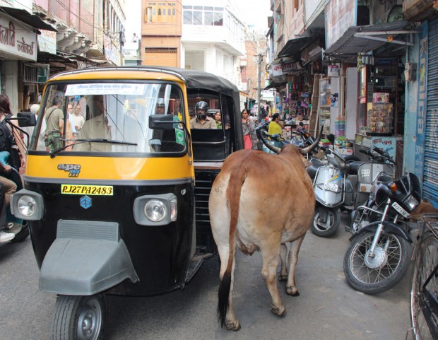 Il tuktuk è il taxi locale