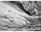 Isole South Sandwich, 2009
