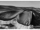 Penisola di Valdés, Argentina, 2004