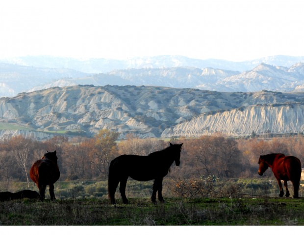 Basilicata, Parco letterario Carlo Levi