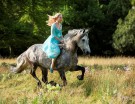 Cinderella – 2015
