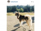 @baileyheakk