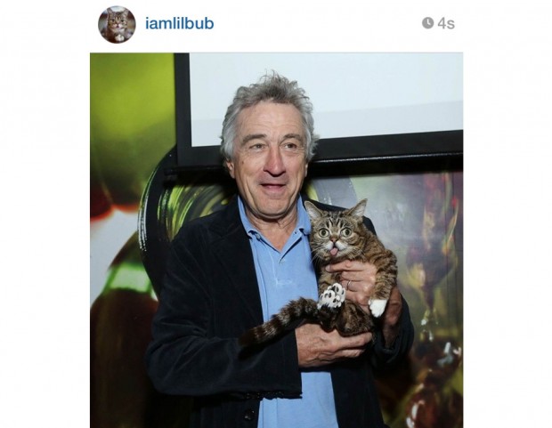 @iamlilbub