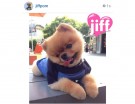@jiffpom