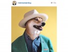 @mensweardog