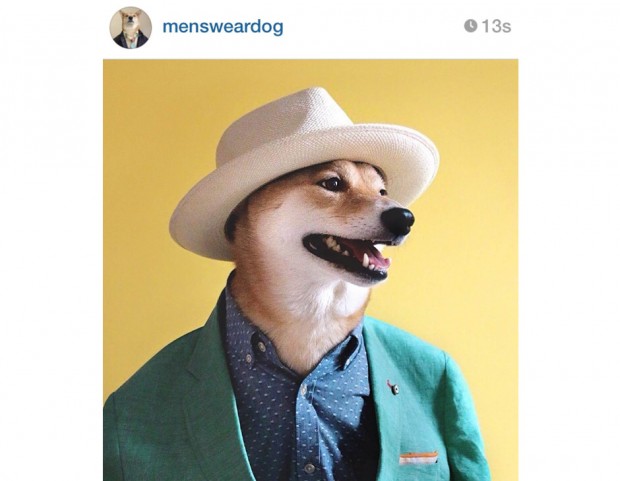 @mensweardog