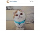 @snoopybabe