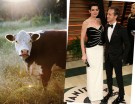 Anne Hathaway e Adam Shulman