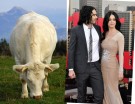 Russel Brand e Katy Perry