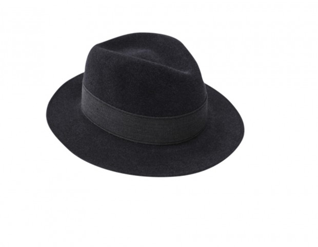 Cappello a tesa larga