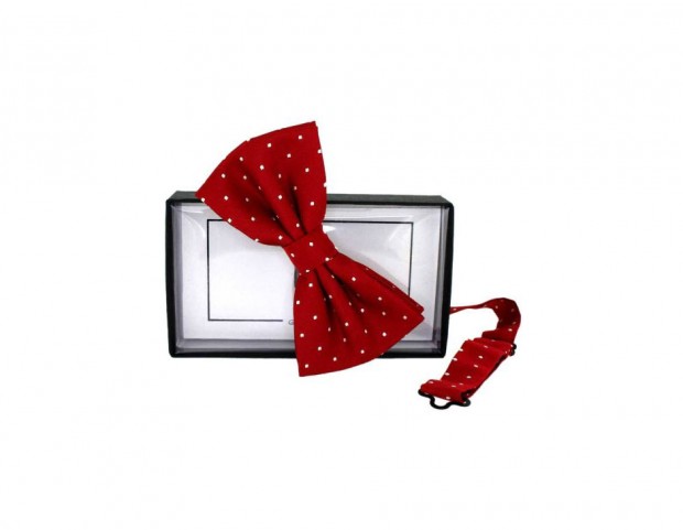 Papillon rosso a pois