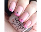 Rose rosa