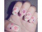 Fiori rosa e magenta