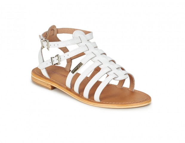 Modello gladiator