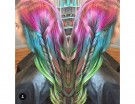 Capelli arcobaleno