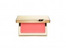 Instant Glow Multi Blush