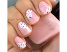 Zuccherini colorati su base bianca e rosa