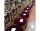 Front-row-Alberta-Ferretti