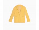 Blazer slim