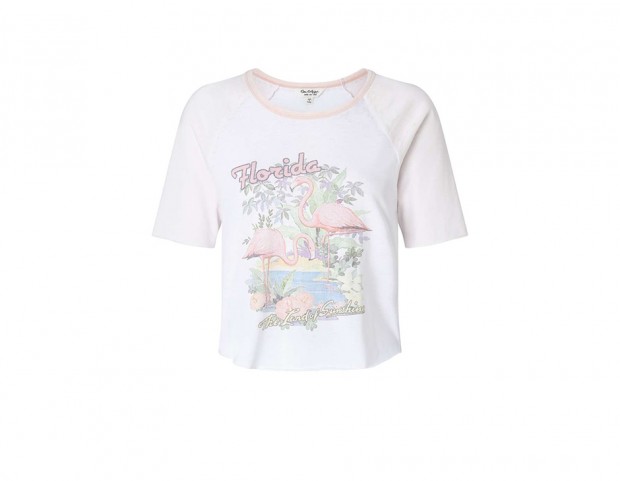 Con fenicotteri Con fenicotteri