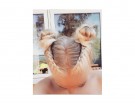 Space buns con trecce e glitter. (Photo credit: Instagram @annkschie)