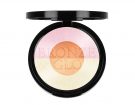 Bronze & Glow Powder