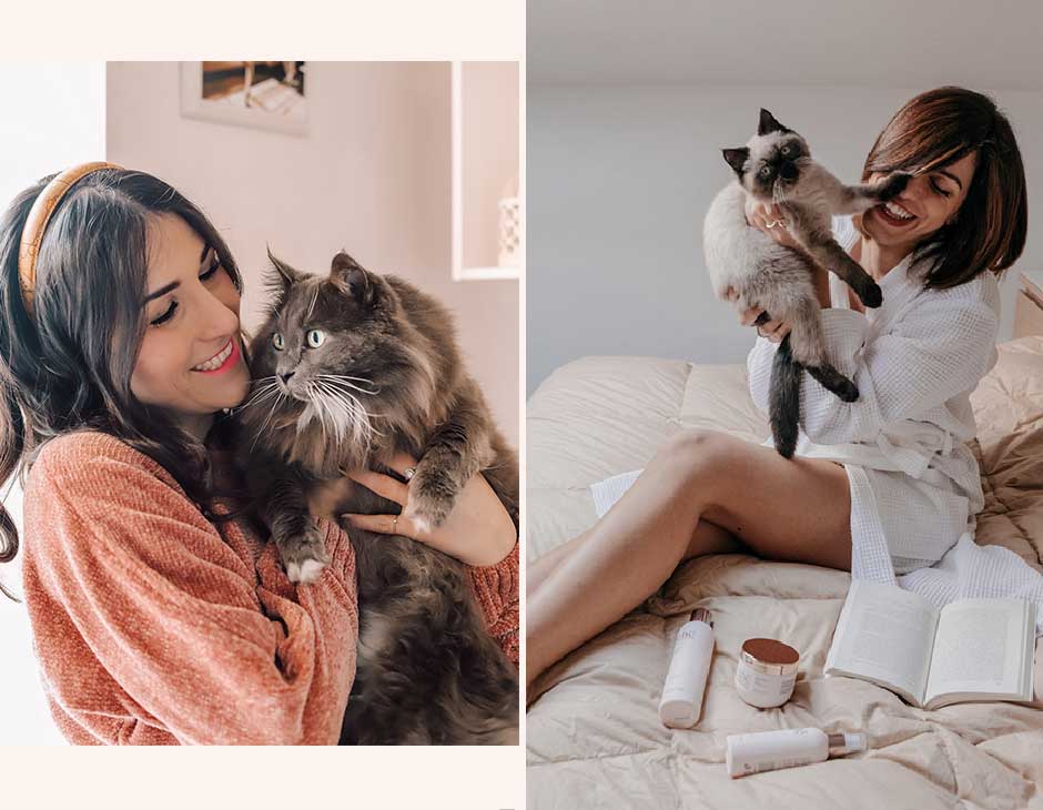 Come fotografare i gatti