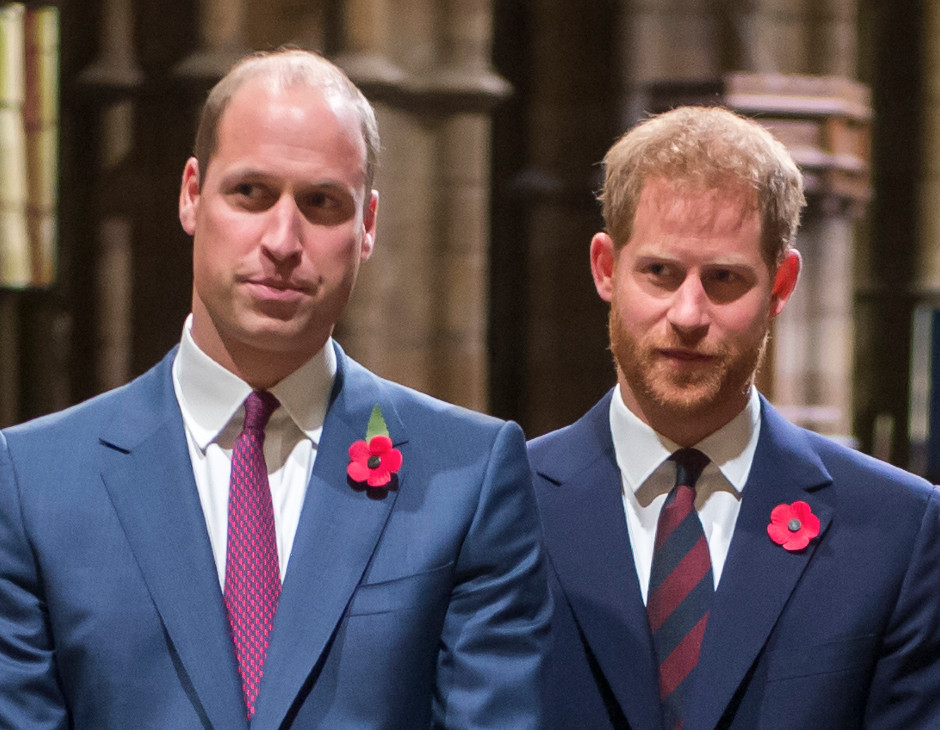William e Harry