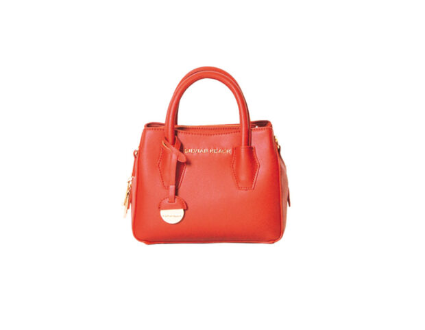 Mini-bag-a-mano-SILVIAN-HEACH