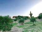 airbnb calabria