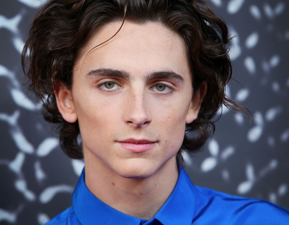 Timothée Chalamet Met Gala 2021