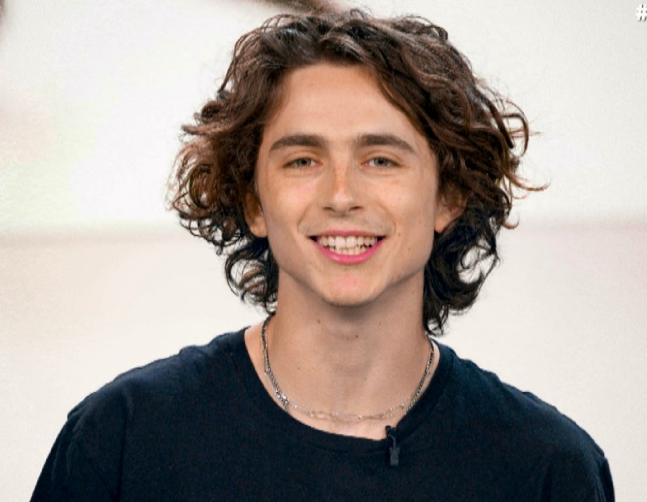 Timothée Chalamet è Wonka