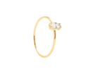 anello PDPAOLA