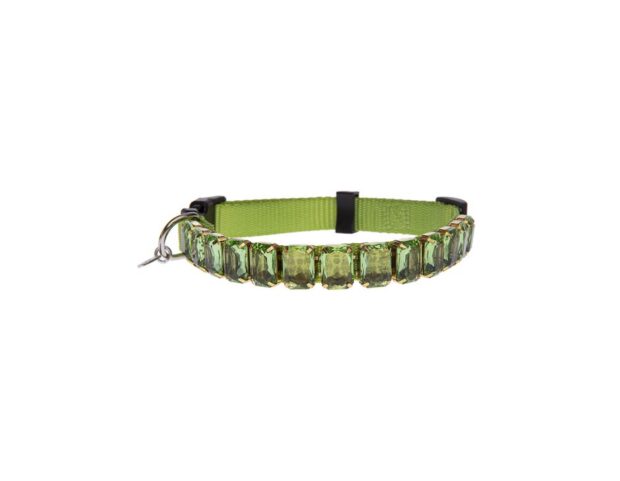 Radà_SS22_C5480