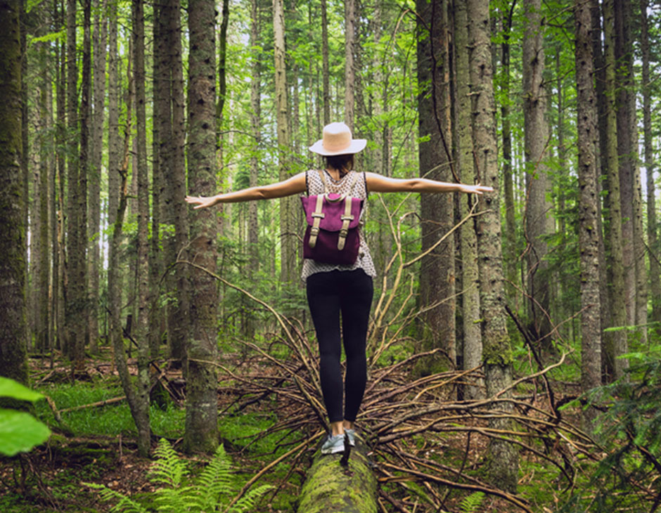 forest bathing