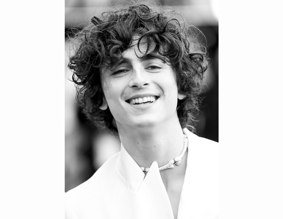 Timothée Chalamet al cinema