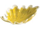 Bolo foglia quercia